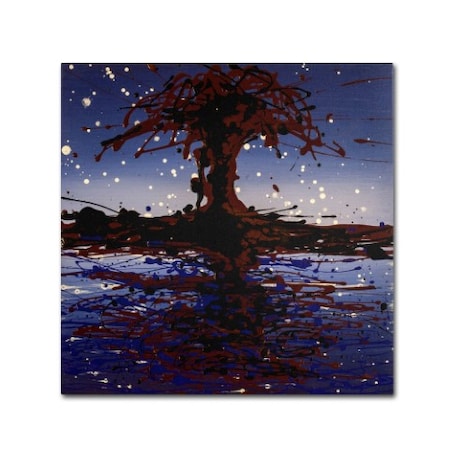 Roderick Stevens 'Lake Tree' Canvas Art,35x35